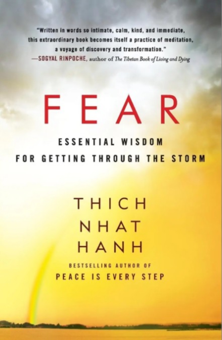 Picture of Fear: Essential Wisdom for Getting Through the Storm