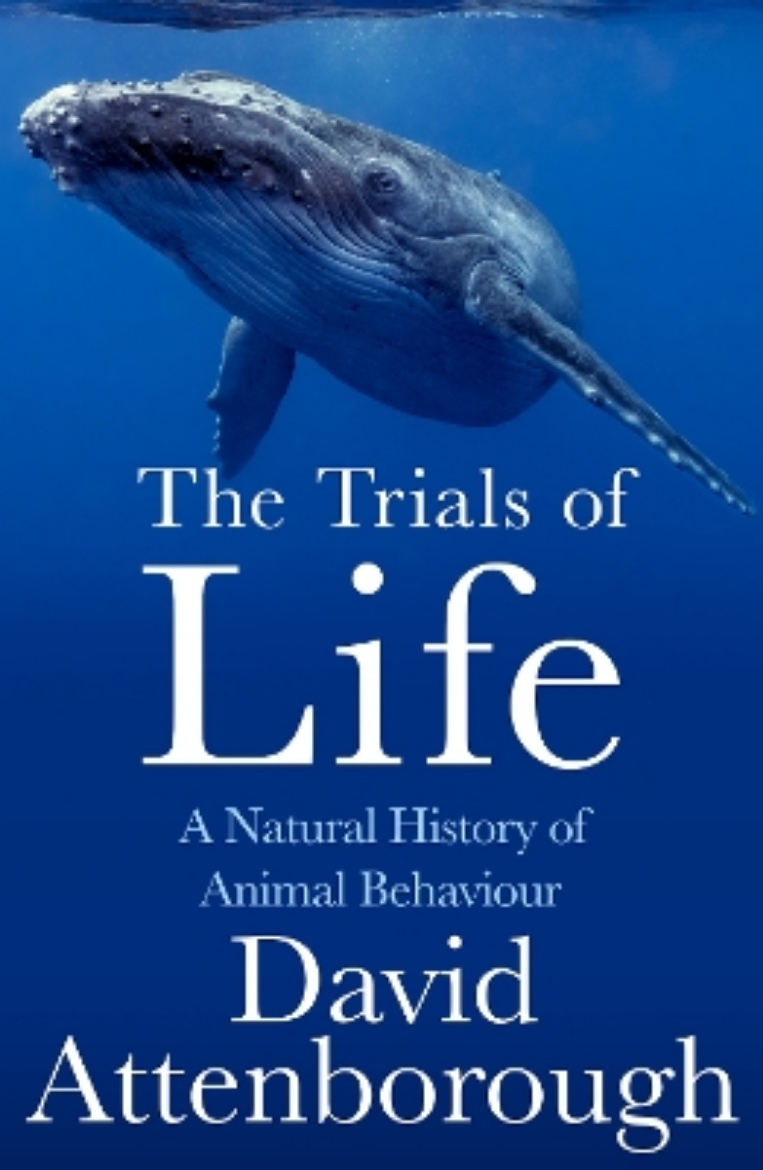 Picture of The Trials of Life