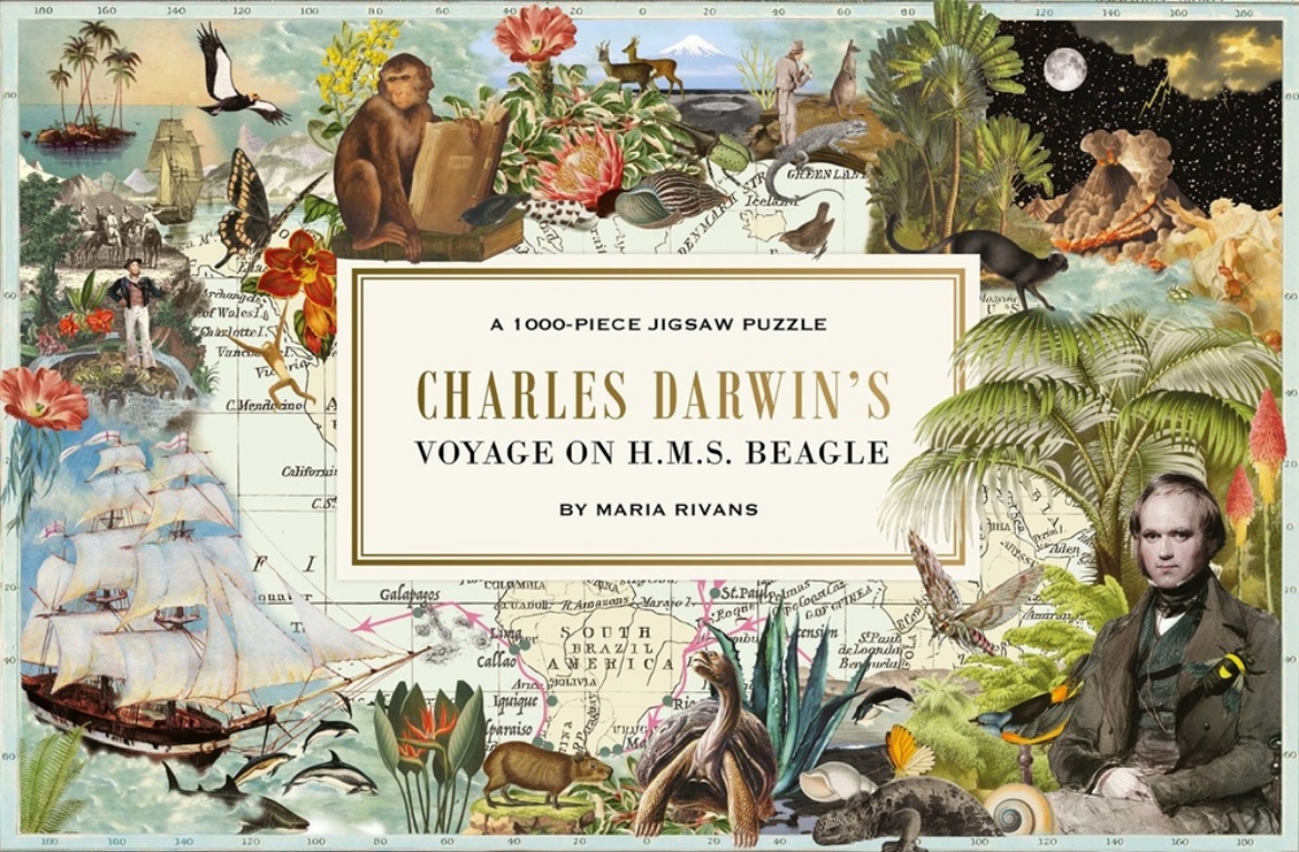 Picture of Pussel Charles Darwin's Voyage on H.M.S. Beagle 1000 bitar