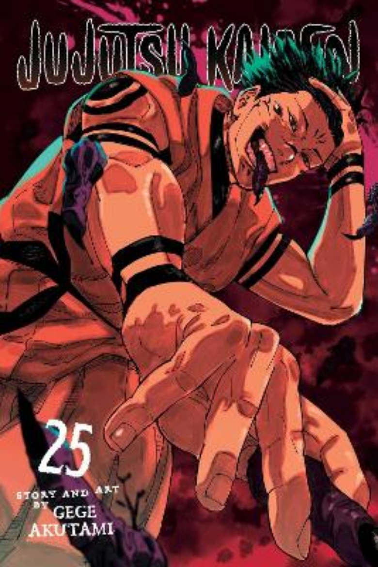 Picture of Jujutsu Kaisen, Vol. 25