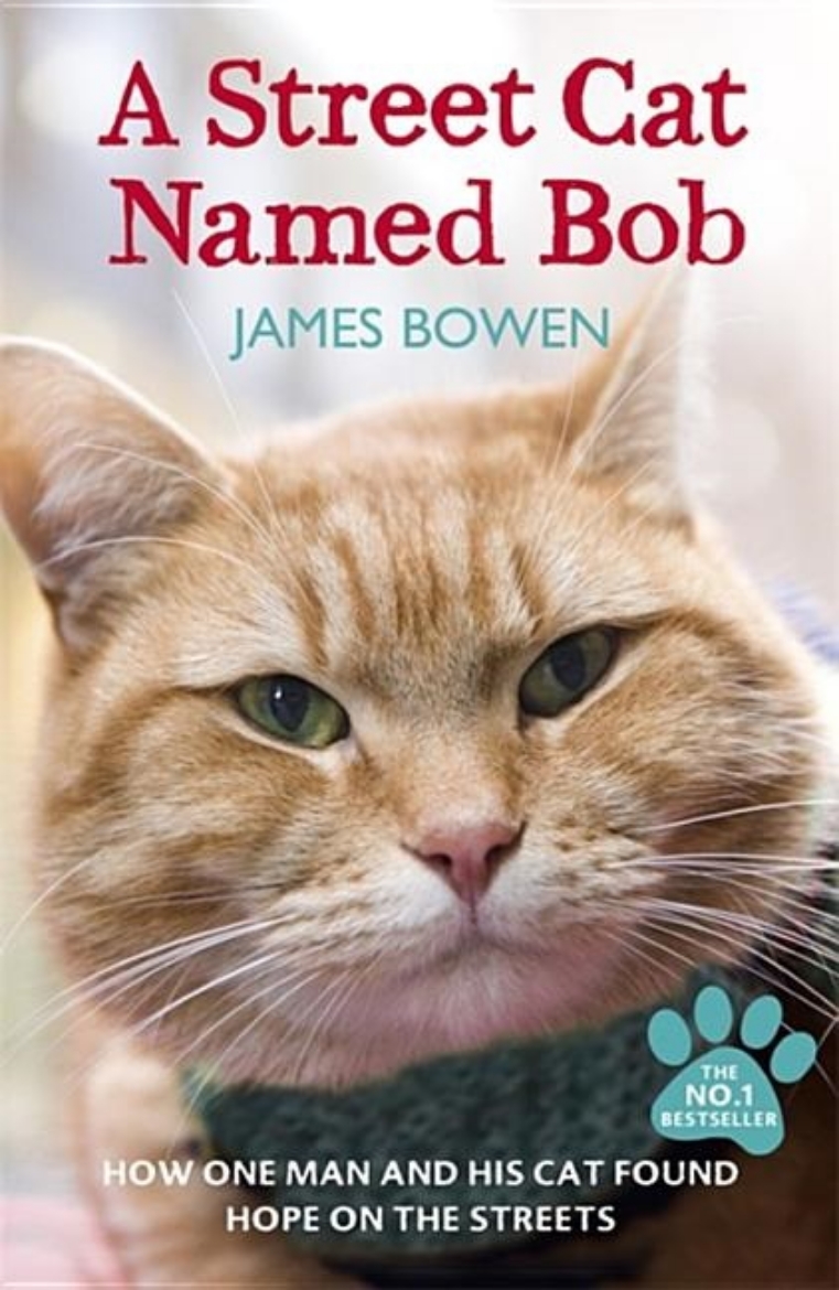Picture of Street cat named bob - how one man and his cat found hope on the streets