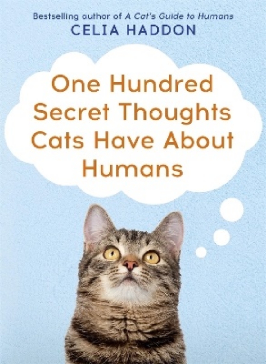 Picture of One hundred secret thoughts cats have about humans