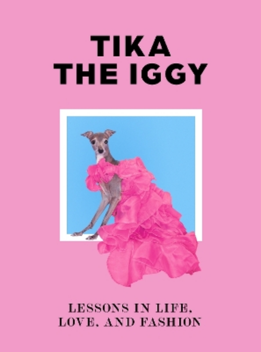 Picture of Tika the Iggy