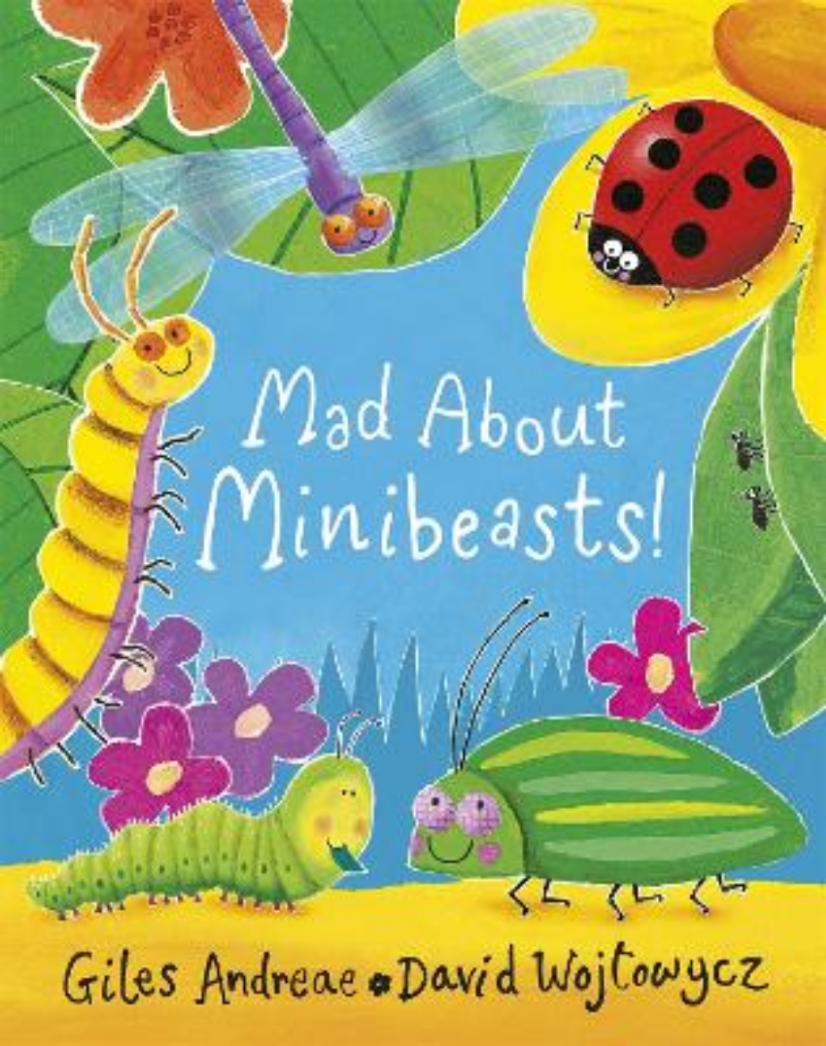 Picture of Mad about minibeasts!