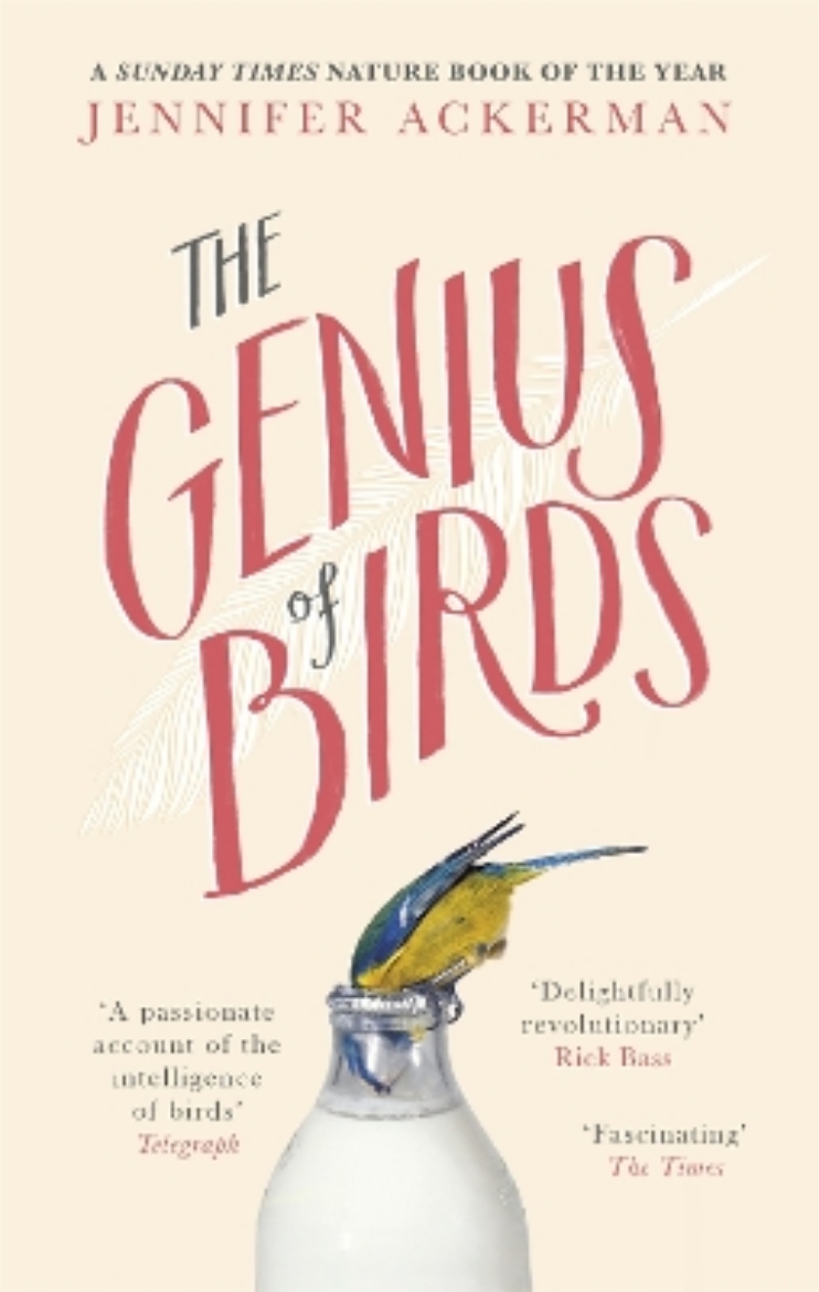 Picture of Genius of birds