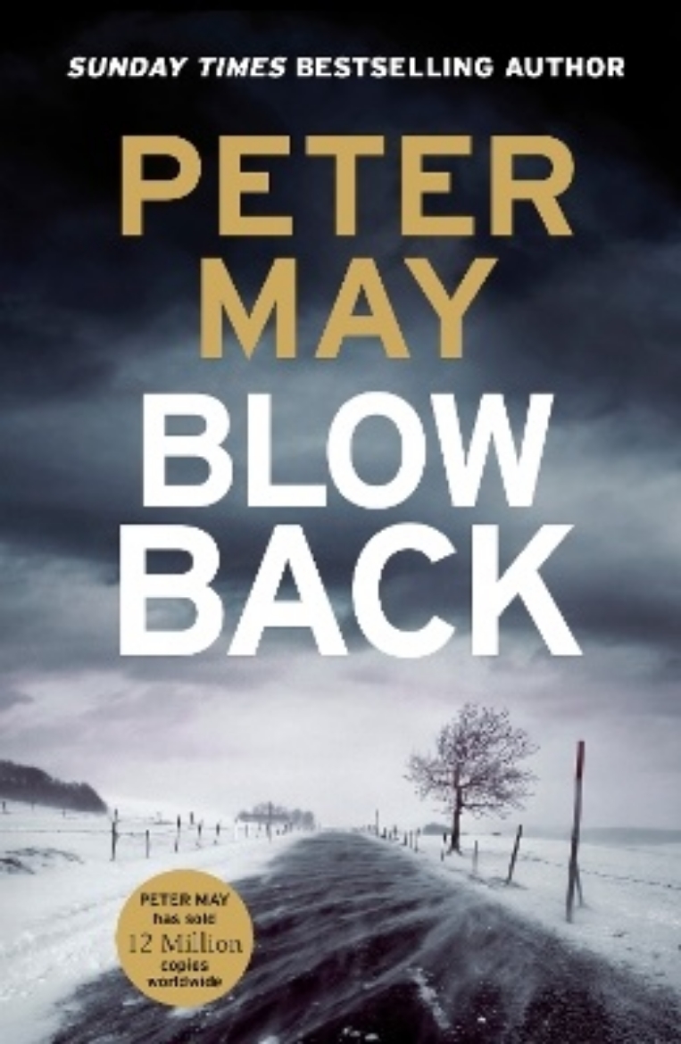 Picture of Blowback: The exciting penultimate case in the addictive crime series (The Enzo Files Book 5)