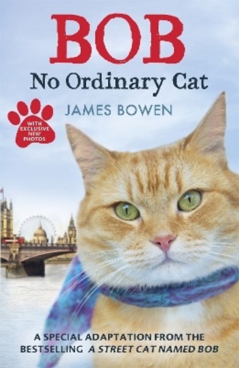 Picture of Bob - no ordinary cat