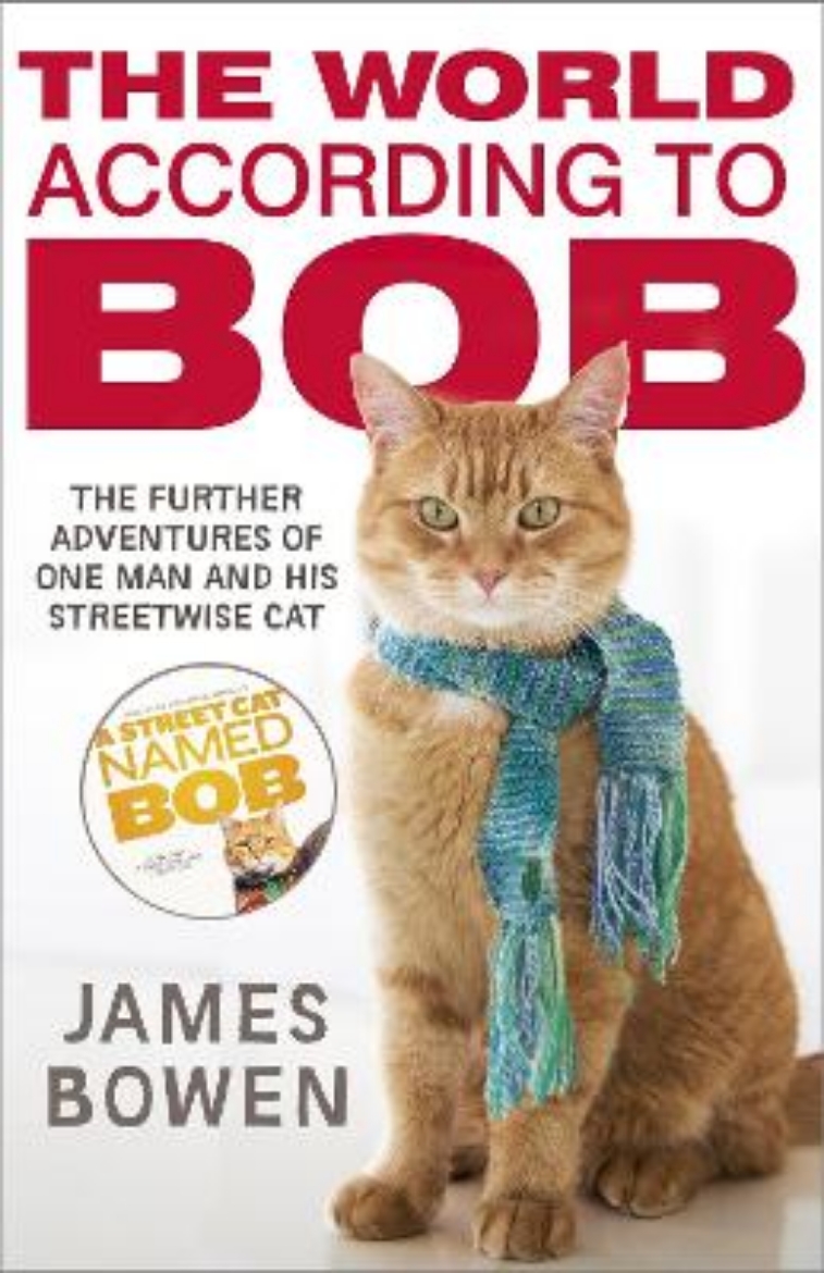 Picture of World according to bob - the further adventures of one man and his street-w