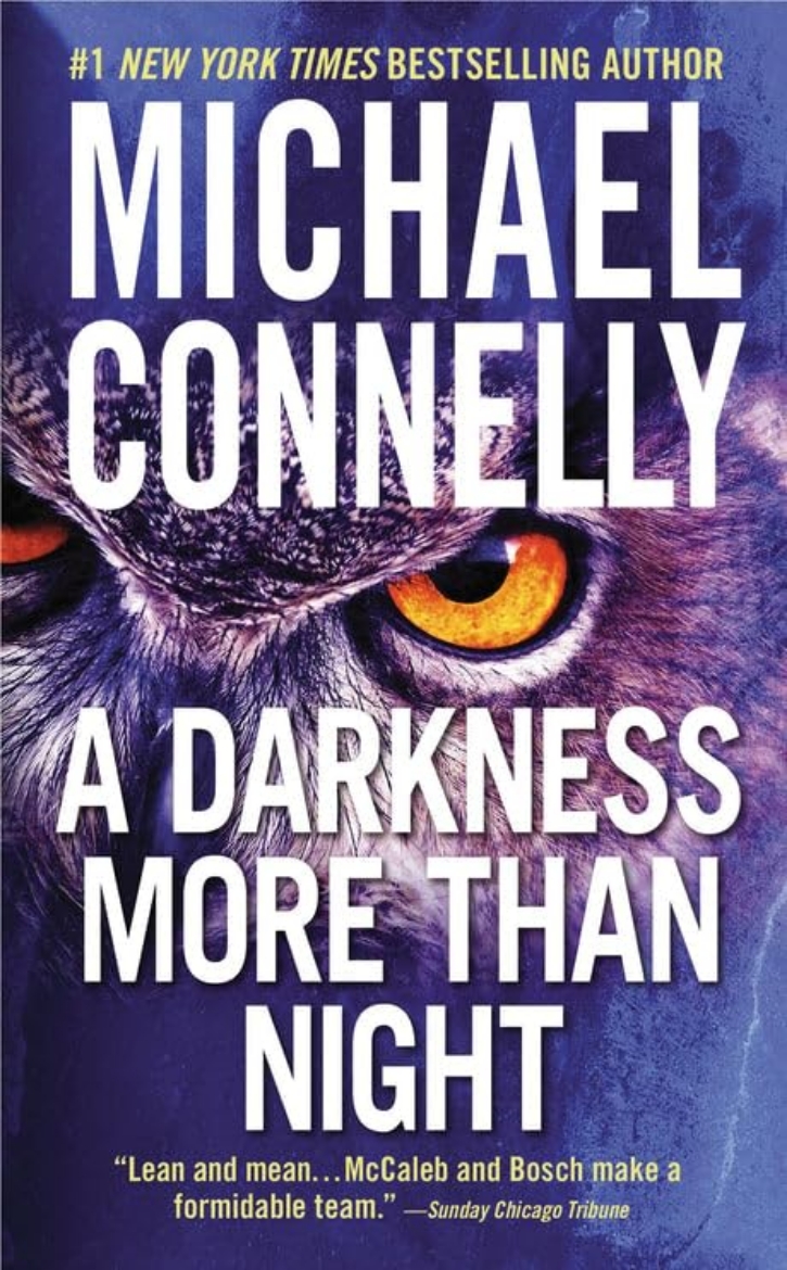 Picture of A Darkness More Than Night