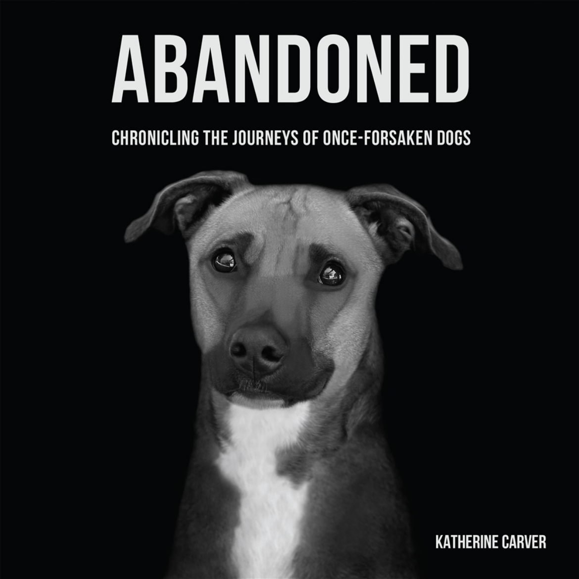 Picture of Abandoned: Chronicling the Journeys of Once-Forsaken Dogs