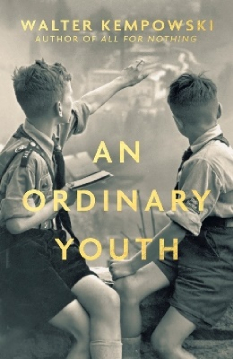 Picture of An Ordinary Youth