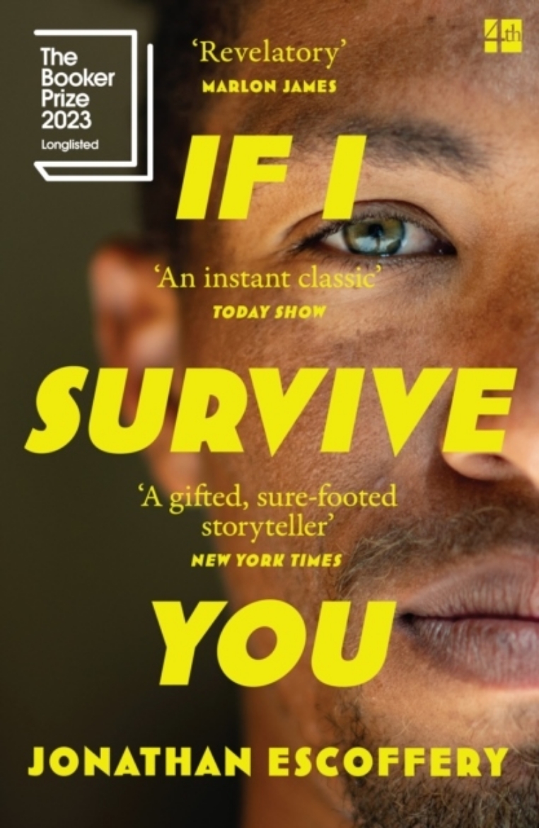 Picture of If I Survive You