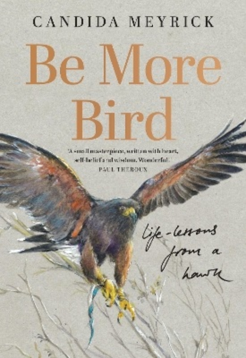 Picture of Be More Bird