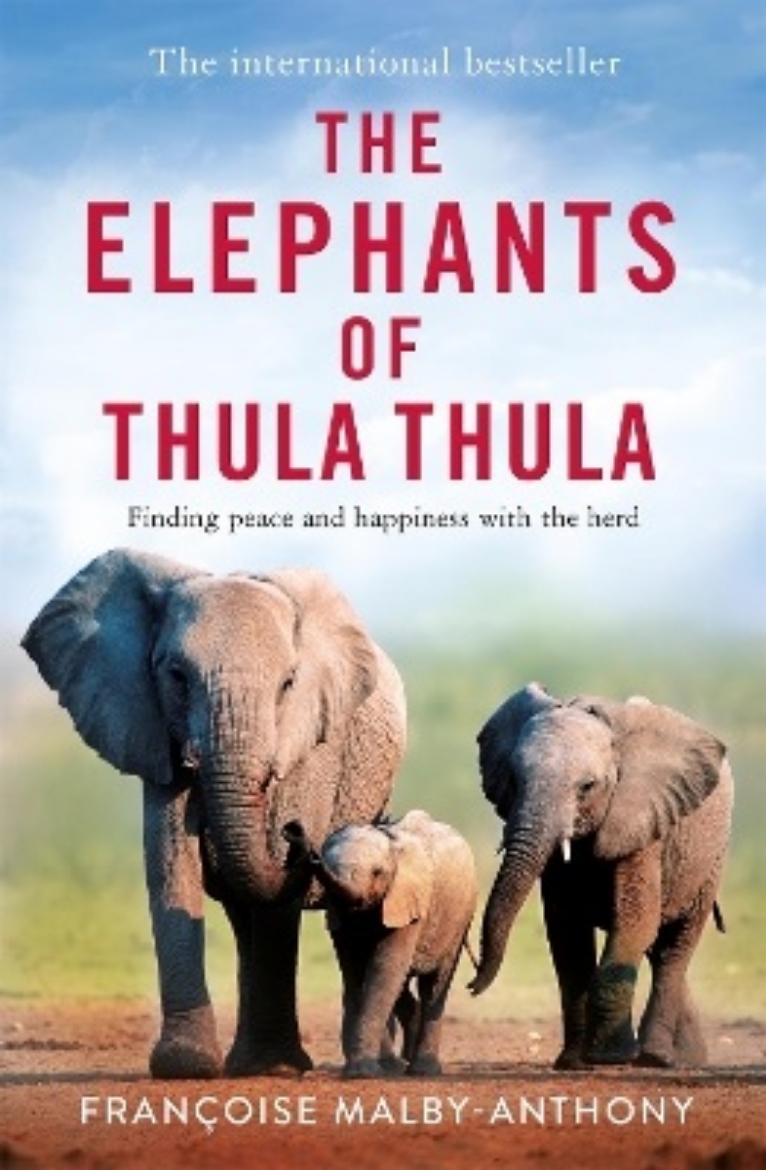 Picture of Elephants of Thula Thula