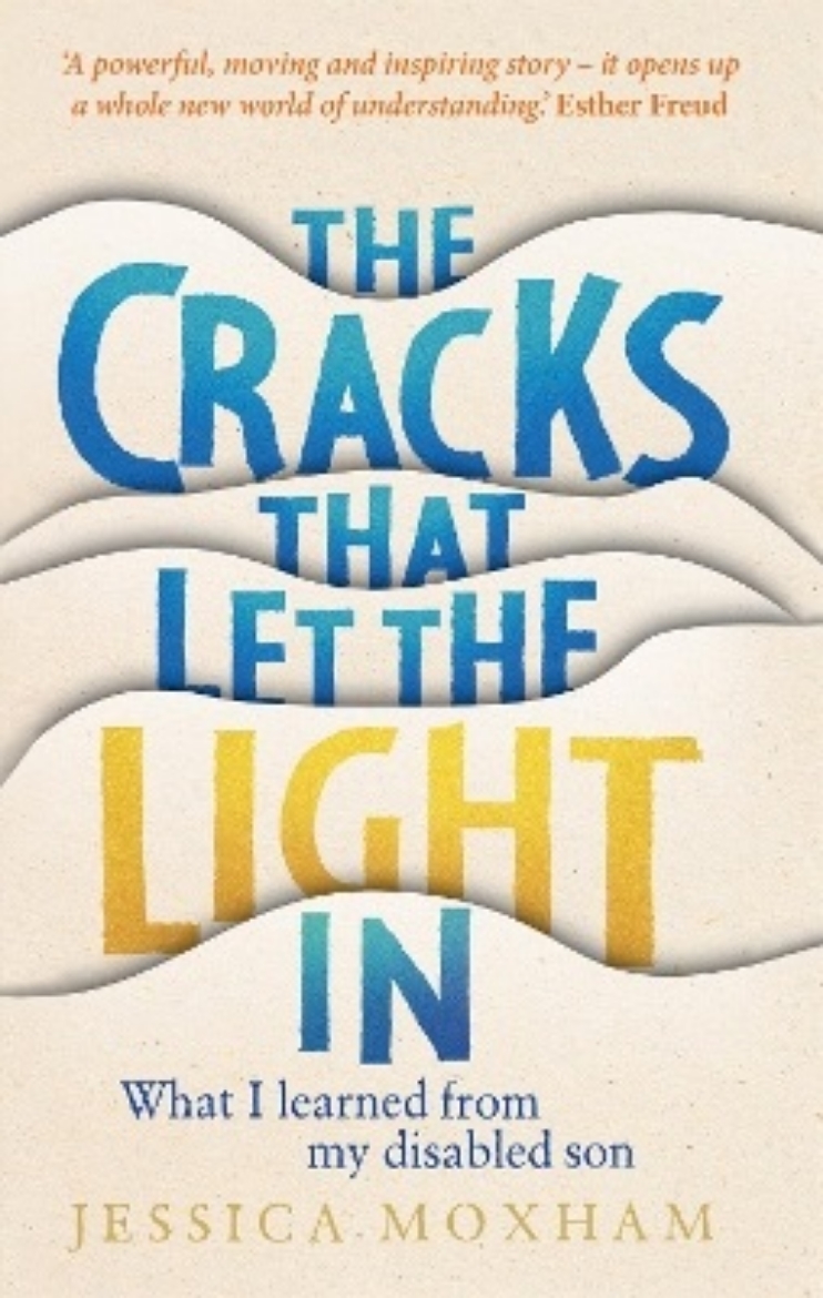 Picture of The Cracks that Let the Light In: What I learned from my disabled son