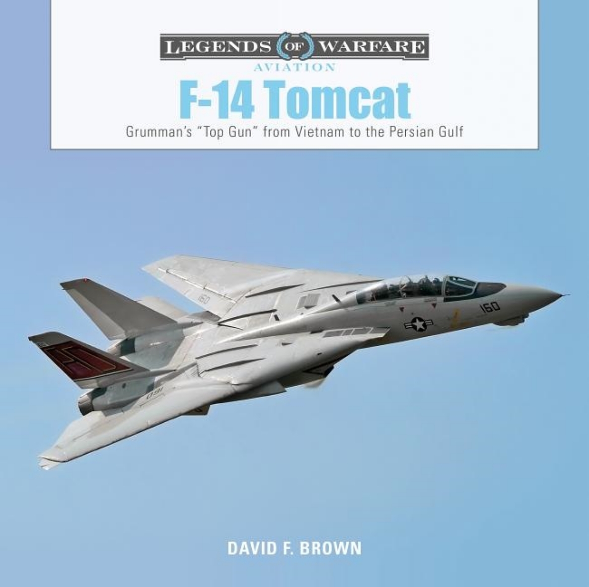 Picture of F-14 Tomcat