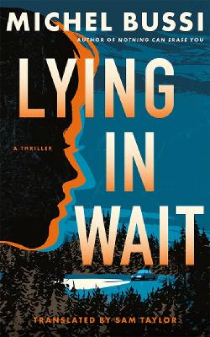 Picture of Lying in Wait: A Thriller