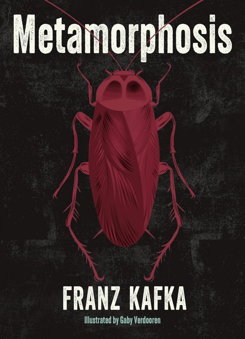 Picture of Metamorphosis: Illustrated by Gaby Verdooren