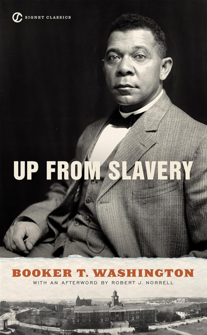 Picture of Up from slavery