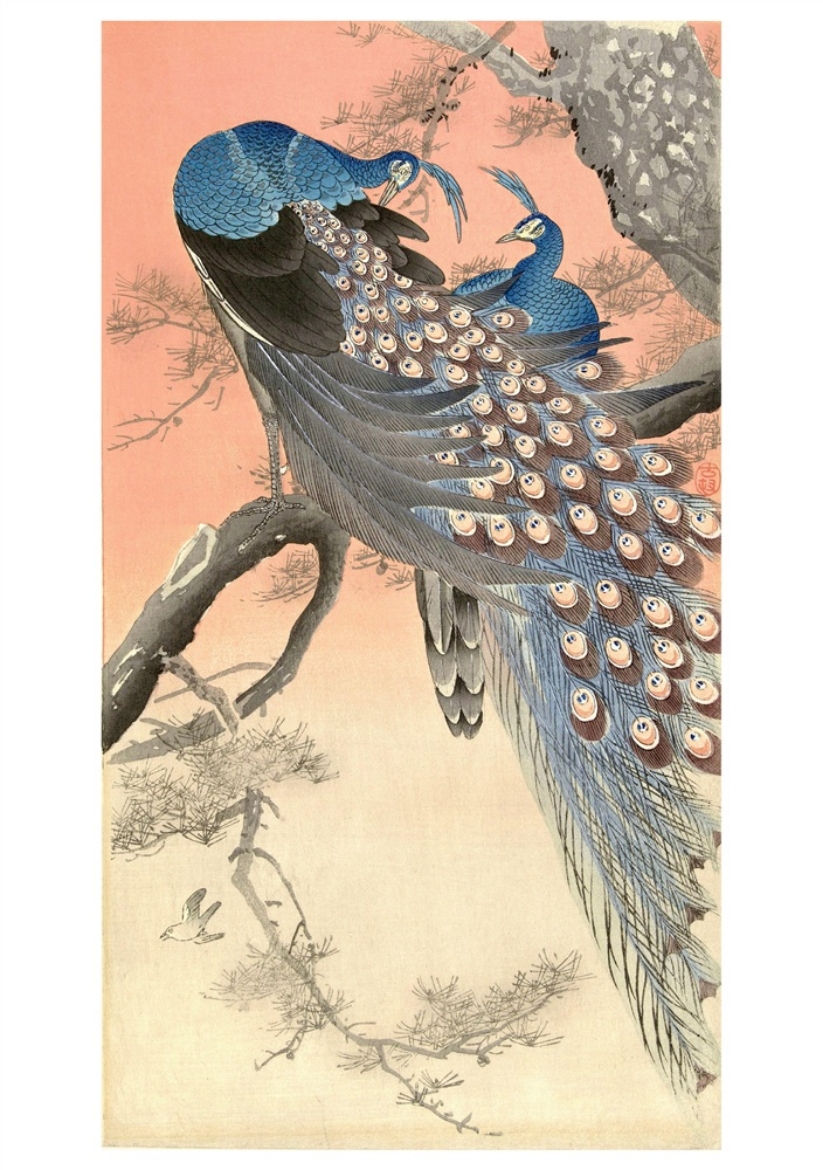 Picture of Ohara Koson (Shoson): Two Peacocks on the Branch of a Tree Notecard
