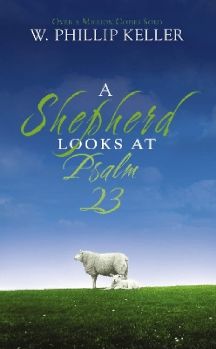 Picture of Shepherd looks at psalm 23