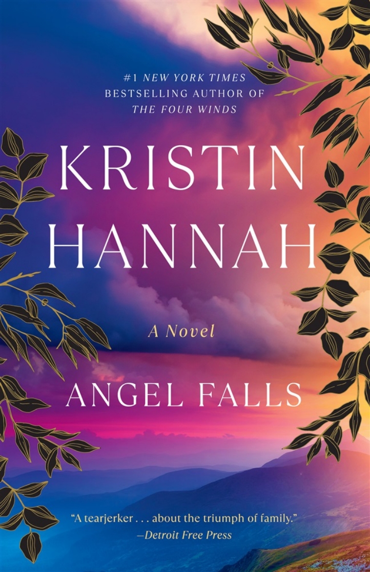 Picture of Angel Falls: A Novel