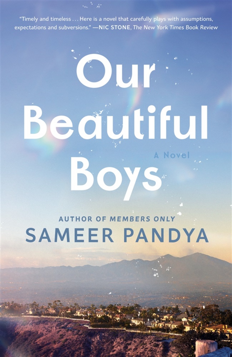 Picture of Our Beautiful Boys: A Novel