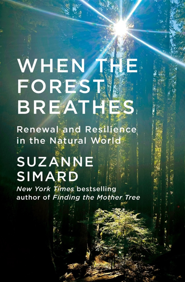 Picture of When the Forest Breathes