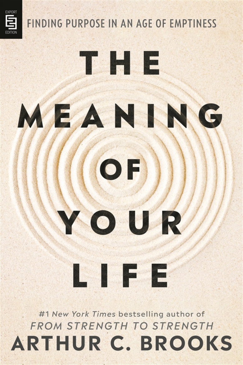 Bild på The Meaning of Your Life