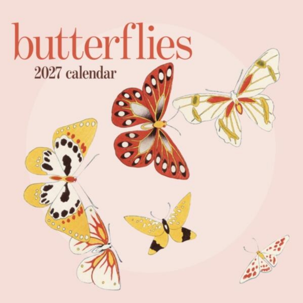 Picture of Butterflies : 2027 Wall Calendar