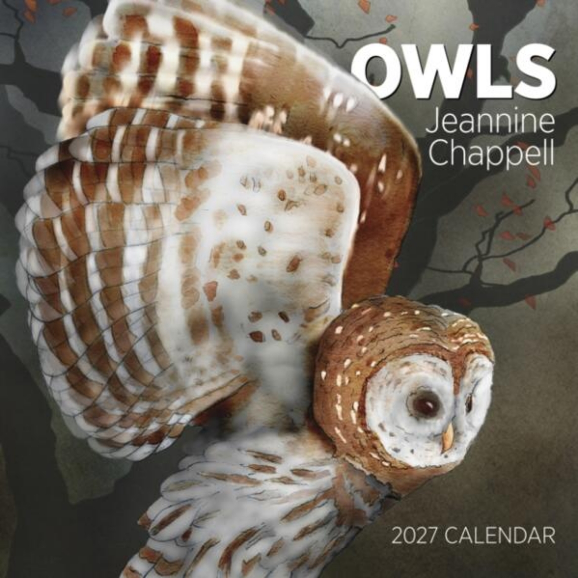 Bild på Owls: Jeannine Chappell : 2027 Wall Calendar