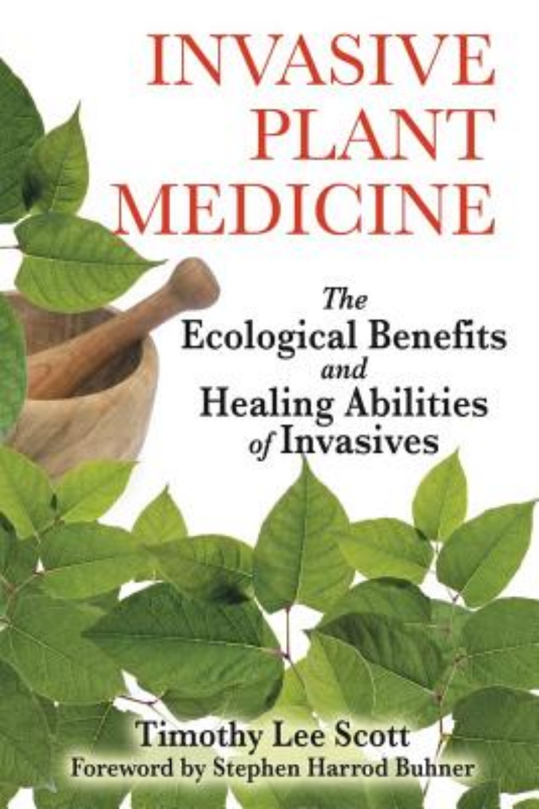 Picture of Invasive Plant Medicine: The Ecological Benefits & Healing Abilities Of Invasives