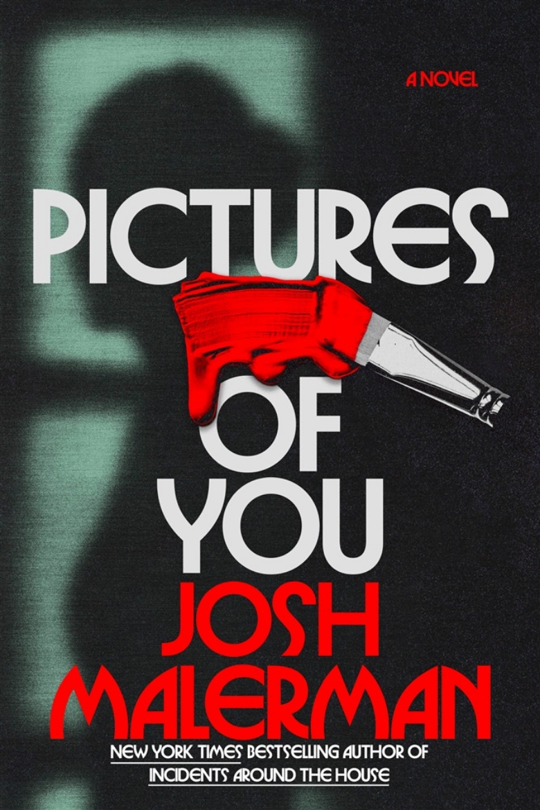 Picture of Pictures of You: A Novel