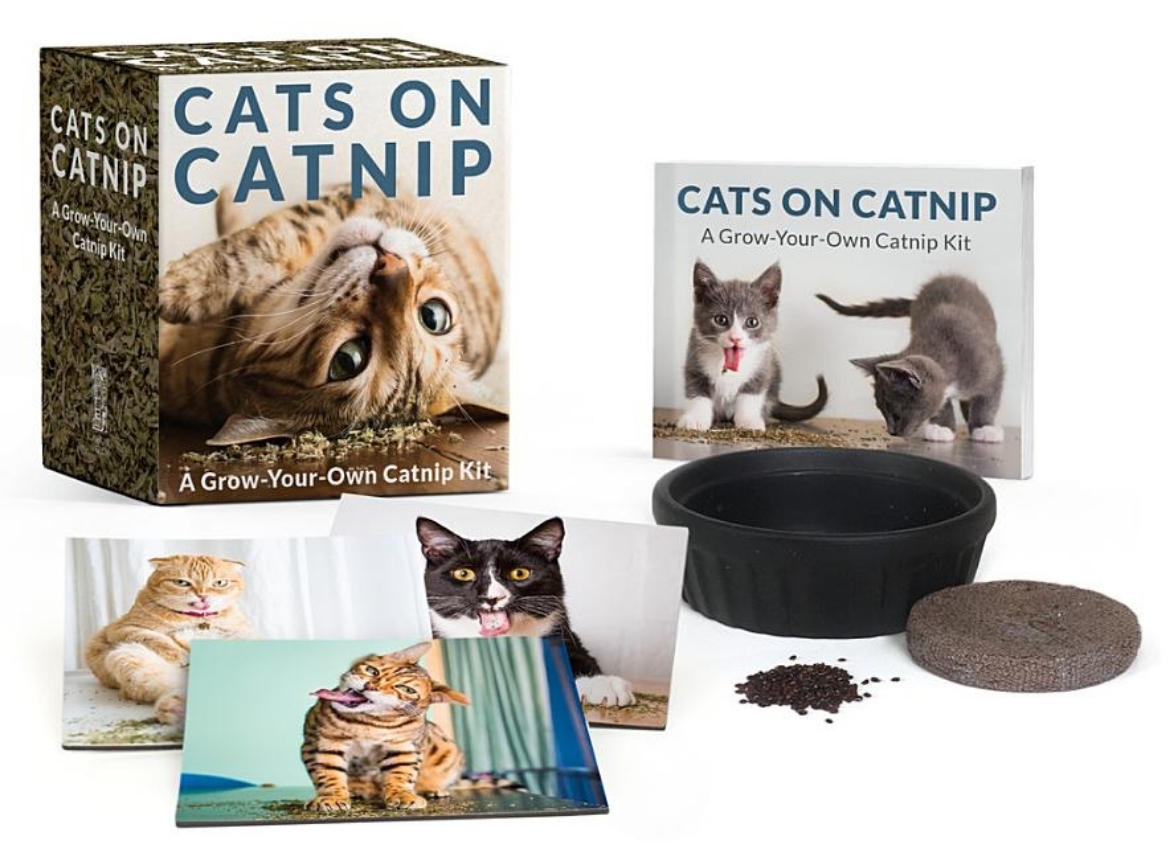 Picture of Cats On Catnip: A Grow-Your-Own Catnip Kit