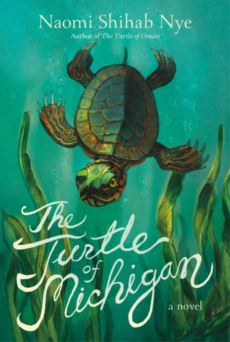 Picture of Turtle of Michigan, The
