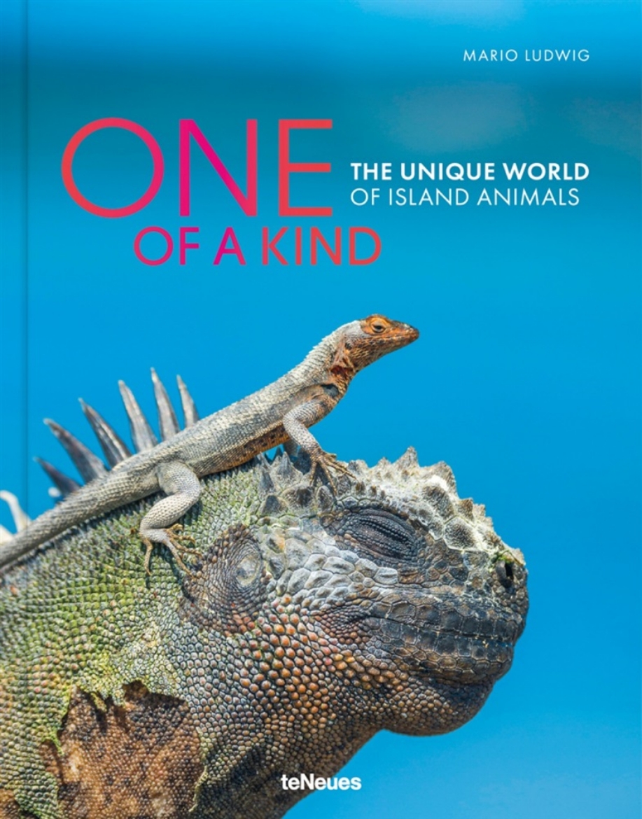 Picture of One of a Kind: The Unique World of Island Animals