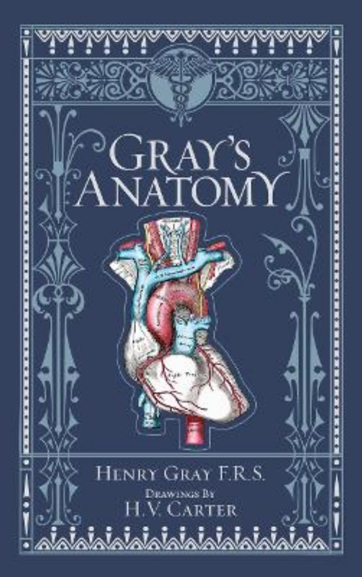 Picture of Gray's Anatomy
