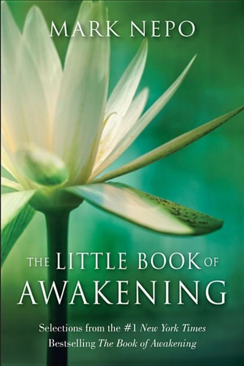 Picture of LITTLE BOOK OF AWAKENING: Selections From The #1 New York Times Bestselling The Book Of Awakening (H)