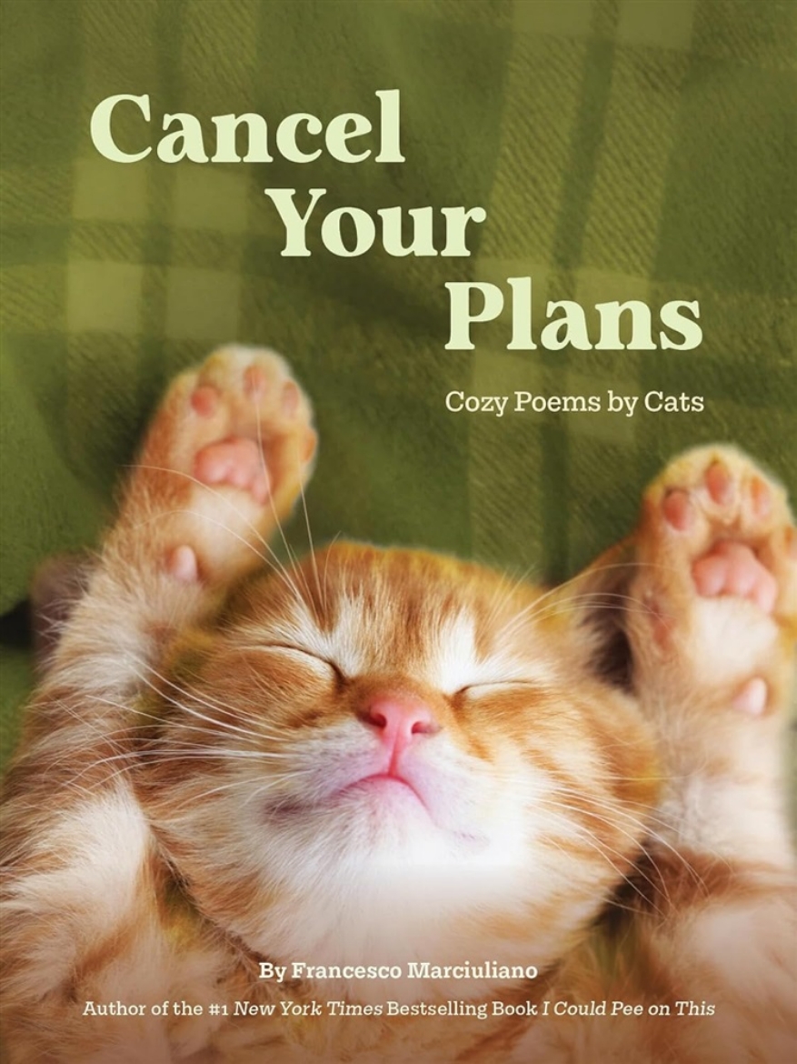 Picture of Cancel Your Plans - Cozy Poems by Cats
