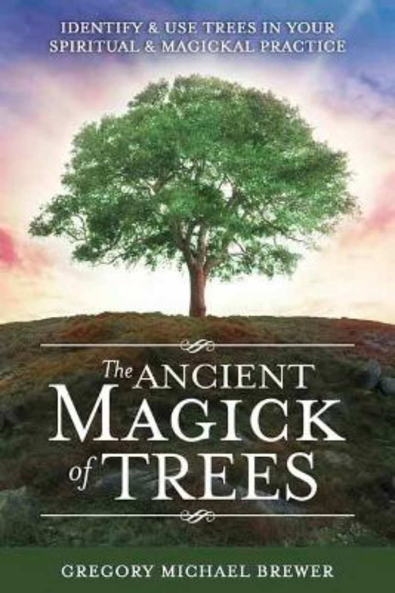 Picture of The Ancient Magick of Trees