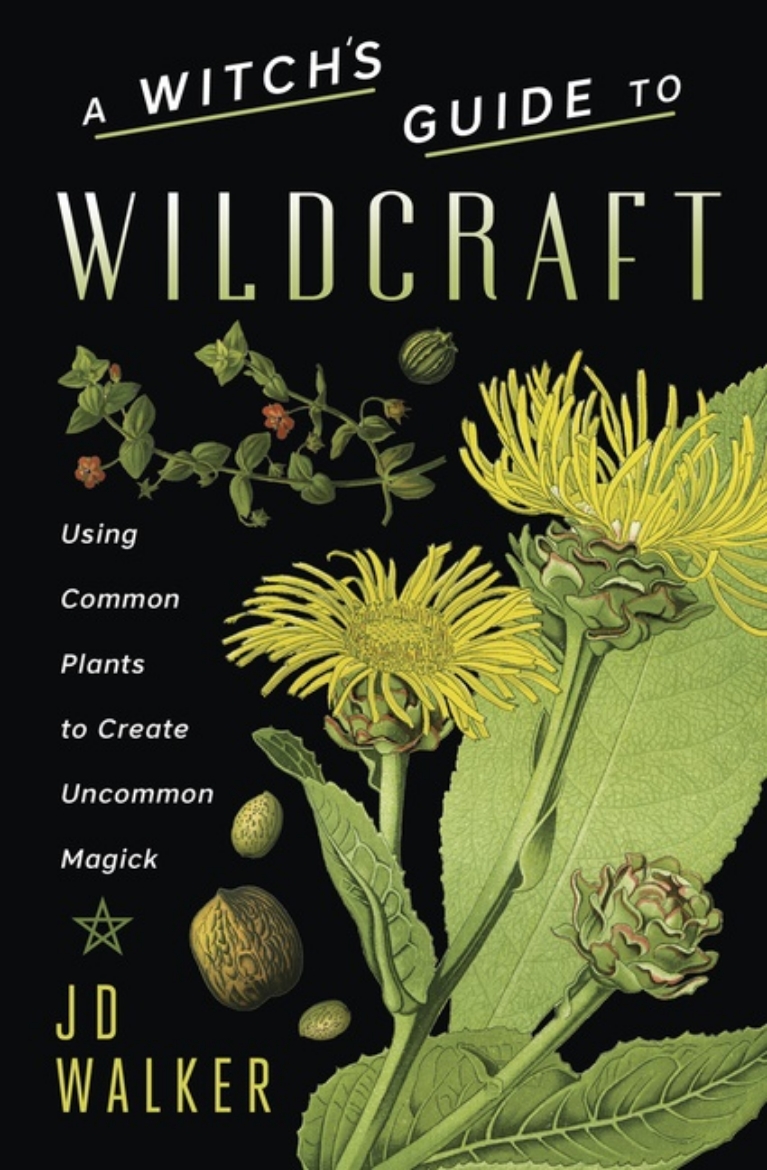 Picture of A Witch's Guide to Wildcraft
