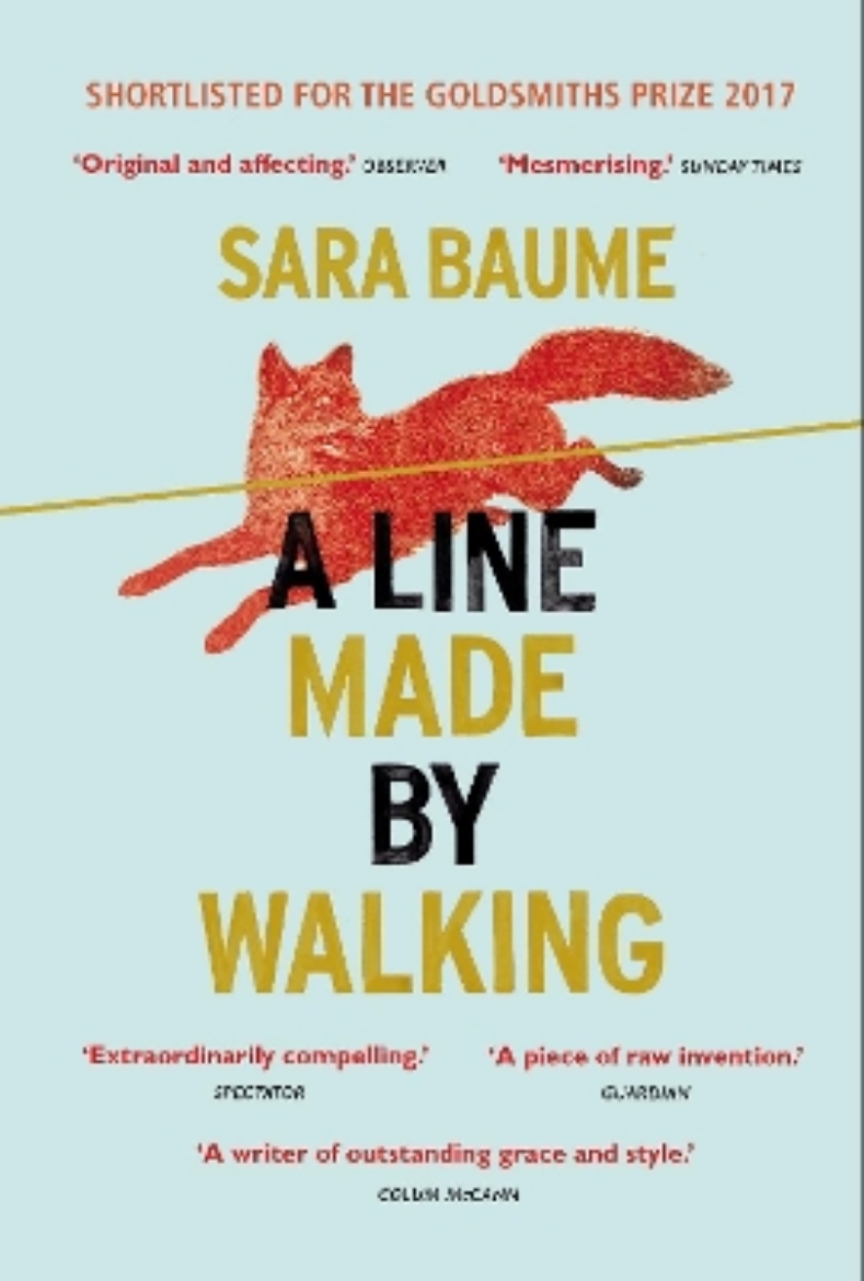 Picture of A Line Made By Walking
