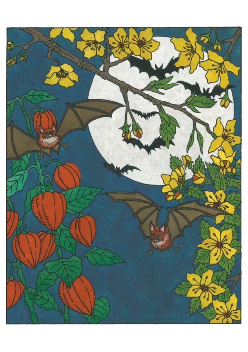 Picture of CJ Hurley: Night Gliding Notecard