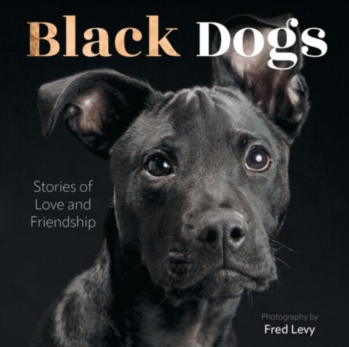 Picture of Black Dogs: Stories of Love and Friendship