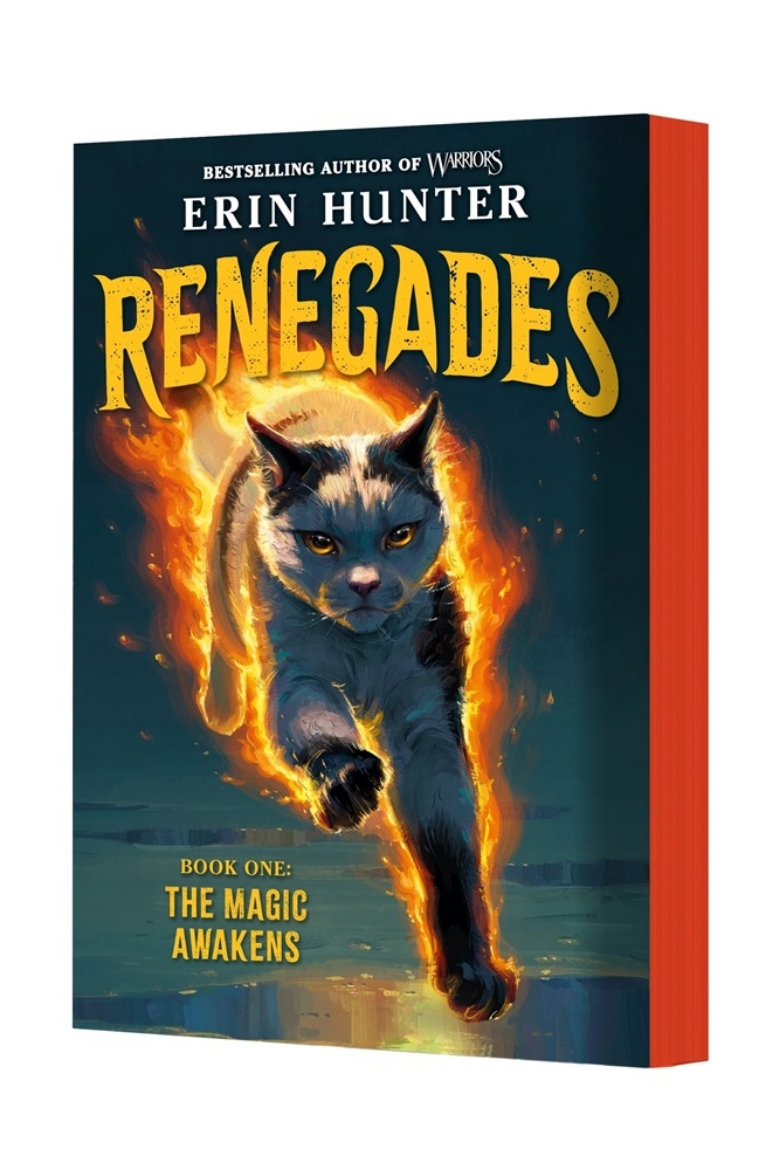 Picture of Renegades #1: The Magic Awakens