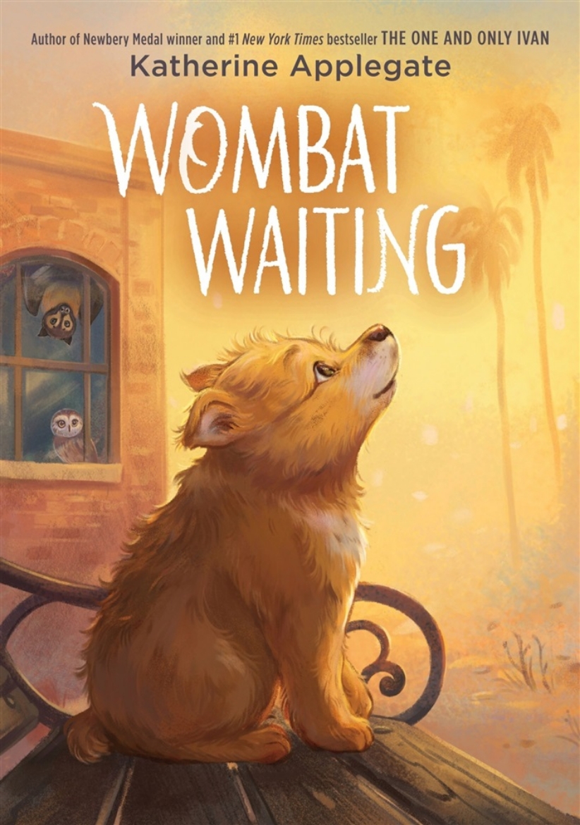 Picture of Wombat Waiting