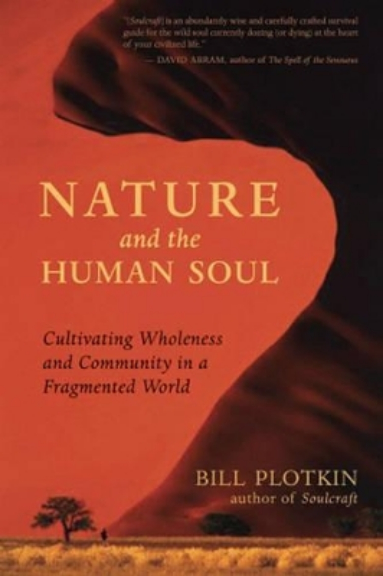 Picture of Nature and the human soul - cultivating wholeness in a fragmented world