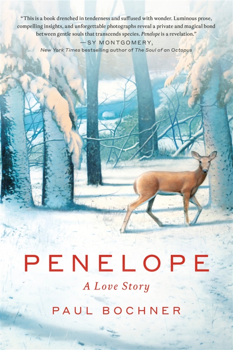 Picture of Penelope
