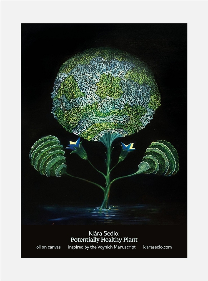 Picture of Potentially Health Plant - postcard