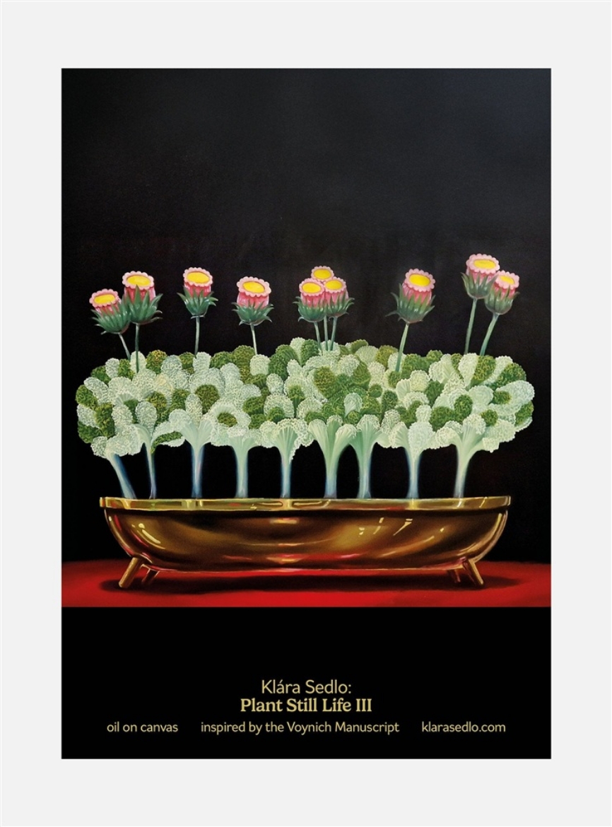 Picture of Plant Still Life III - postcard